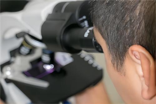 研發(fā)團(tuán)隊